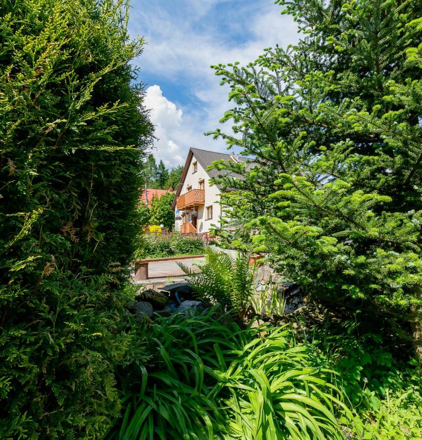 Apartament I Pokoje Goscinne U Lusi Висла Экстерьер фото