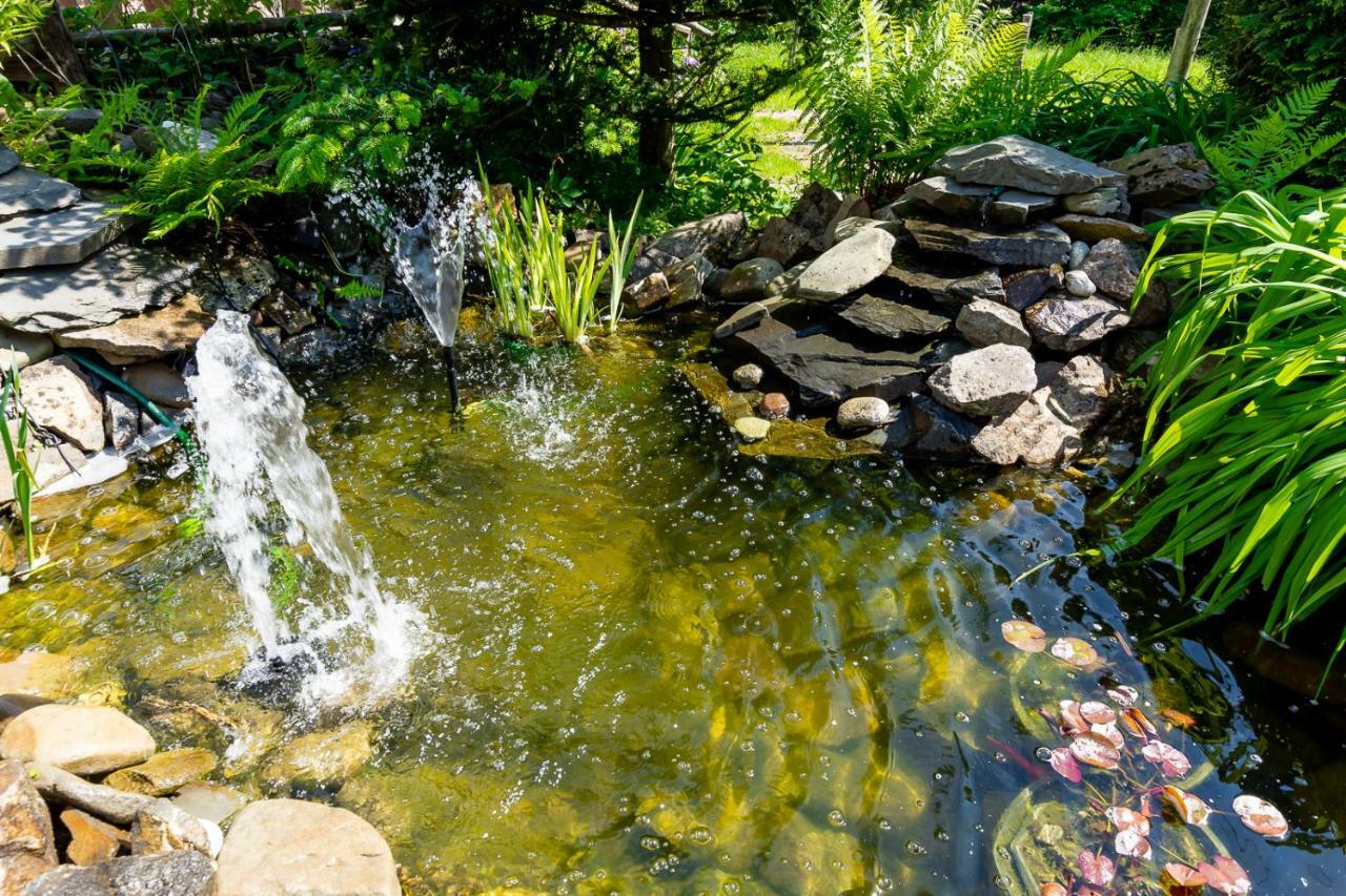 Apartament I Pokoje Goscinne U Lusi Висла Экстерьер фото